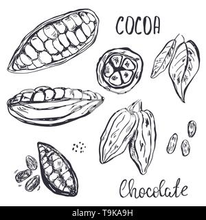 Faites à la main les cabosses de cacao, les fèves et les feuilles. Illustration de Vecteur