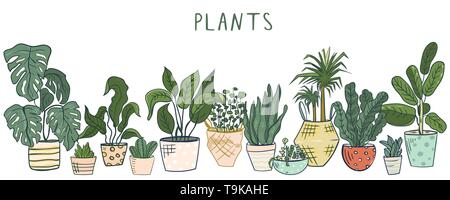 Ensemble de plantes différentes Illustration de Vecteur
