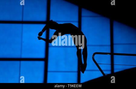 Silhouette d'un plongeur de la plate-forme de 10m au cours de la troisième journée de la série mondiale de plongeon au Centre aquatique de Londres, Londres. Banque D'Images