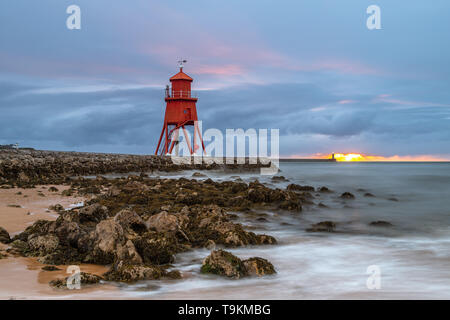 Épi de troupeau, le phare de South Shields, printemps Banque D'Images