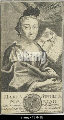 Portrait de Maria Sibylla Merian (1647-1717). Musée : collection privée. Auteur : anonyme. Banque D'Images