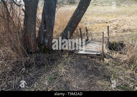 L'abandon au cours de la passerelle sur le ruisseau de fond envahi par des arbustes et des arbres. Banque D'Images