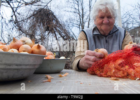 Une vieille femme aux cheveux gris ramasse oignons avant la cuisson dans la cuisine, des légumes bio, sa propre culture. Banque D'Images