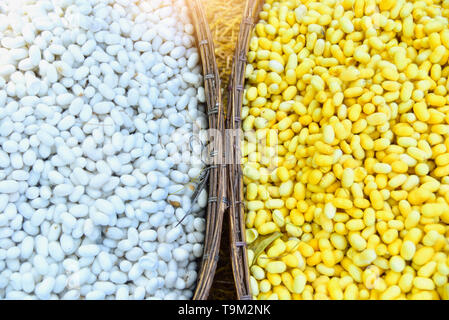 Jaune et Blanc naturel cocon de vers à soie en Thai-Style Panier en rotin Banque D'Images