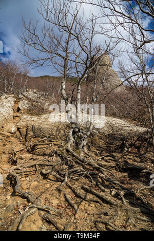 Demerdji, République de Crimée - 1 Avril 2019 : La vallée des fantômes dans la montagne près de Demerdzhi Alushta sur la péninsule de Crimée Banque D'Images