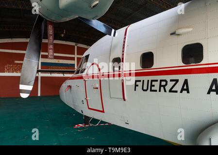 La lumière de cargo CASA C-212 d'Airbus Groupe SE dans le hangar de la Fuerza Aerea Paraguaya, Paraguay Banque D'Images