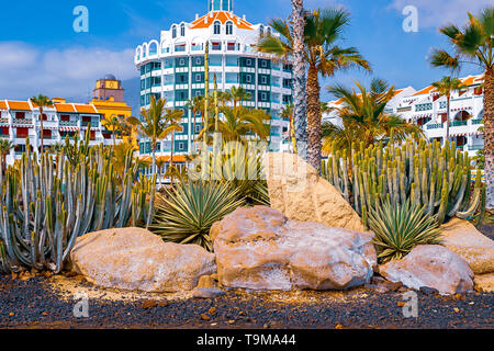 Vue de différents types de cactus sur la côte de Playa de las Americas, Tenerife, Canaries, Espagne. Le 29 avril 2019. Banque D'Images