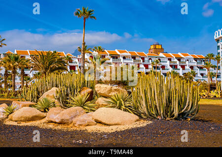 Vue de différents types de cactus sur la côte de Playa de las Americas, Tenerife, Canaries, Espagne. Le 29 avril 2019. Banque D'Images
