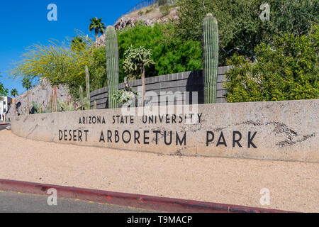 TEMPE, AZ/USA - 10 avril 2019 : Le parc arboretum du désert sur le campus de l'Université d'état de l'Arizona. Banque D'Images