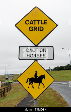 "Attention Chevaux d' côté route panneau près de l'hippodrome de Curragh Curragh, hippodrome, Newbridge, comté de Kildare, Irlande Banque D'Images