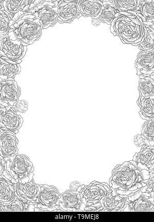 Cadre décoratif avec des fleurs, roses, pivoines. Modèle élégant et élégant pour le texte. Dessin d'illustration vectorielle Illustration de Vecteur