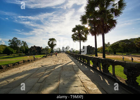 Le soleil brille entre les palmes sur la route principale menant vers la passerelle et mur extérieur et passé les bibliothèques à Angkor Wat, au Cambodge. Banque D'Images