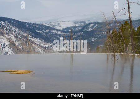 Piscine ouverte avec vue sur la montagne au Mammoth Hot Springs terrasses en hiver au parc national de Yellowstone - belle le travertin coloré Banque D'Images