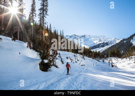 Grimper à la vallée Asulkan avec les sept étapes du paradis au-dessus. Un skieur fait son chemin jusqu'à la vallée pour skier hors pic Youngs. Banque D'Images