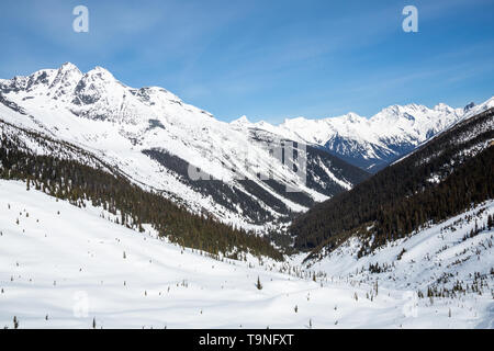 Dans la ligne de la vallée Asulkan, dans le parc national des Glaciers, le Canada. Le printemps dans les Rocheuses canadiennes est souvent synonyme de ciel bleu et de la neige fraîche sur les frais généraux Banque D'Images