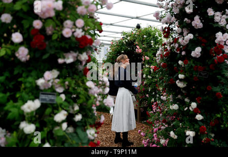 Londres, Royaume-Uni. 20 mai, 2019. Personnes visitent le RHS (Royal Horticultural Society Chelsea Flower Show) Appuyer sur day à Londres, Angleterre le 20 mai 2019. L'Assemblée RHS Chelsea Flower Show est ouvert au public ici du 21 au 25 mai. Credit : Han Yan/Xinhua/Alamy Live News Banque D'Images