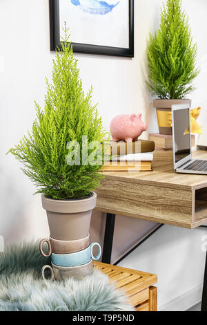 Pots avec du citron cyprès dans la chambre avec bureau confortable Banque D'Images