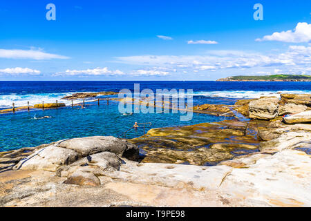 Les nageurs dans la piscine dans les rochers, au nord de Maroubra Beach à Sydney, Australie Banque D'Images