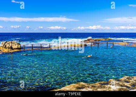 Les nageurs dans la piscine dans les rochers, au nord de Maroubra Beach à Sydney, Australie Banque D'Images