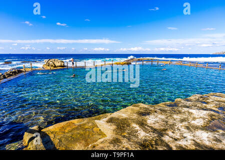 Les nageurs dans la piscine dans les rochers, au nord de Maroubra Beach à Sydney, Australie Banque D'Images