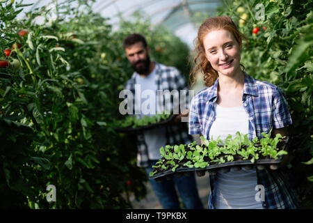 Deux jeunes femmes travaillant dans les serres et planter des graines. Banque D'Images