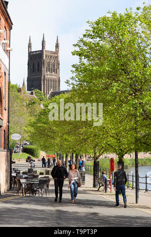 Worcester UK - promeneurs sur quai sud à côté de la rivière Severn et de la cathédrale de Worcester, Worcester printemps dans le Worcestershire England UK Banque D'Images