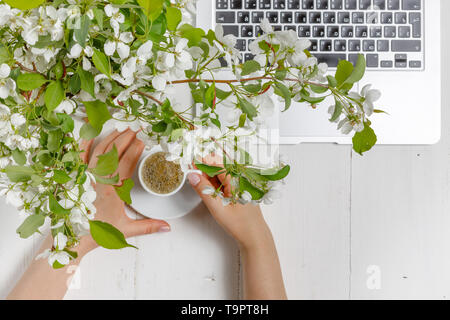Concept de poste de travail féminin moderne. Ordinateur portable, de café, de belles fleurs de pommier sur le tableau blanc, vue du dessus Banque D'Images