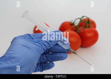 Seringue et les tomates. Spécialiste de l'OGM injecte le liquide d'une seringue dans une tomate rouge. Concept nutritionnel génétiquement modifiés. Banque D'Images