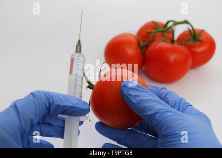 Seringue et les tomates. Spécialiste de l'OGM injecte le liquide d'une seringue dans une tomate rouge. Concept nutritionnel génétiquement modifiés. Banque D'Images