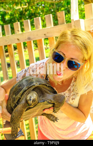 Caucasian woman holding touristique et les baisers, âgé de 5 ans, à l'intérieur de la tortue d'Aldabra Réserve Naturelle curieuse qui héberge un troupeau de Aldabrachelys gigantea Banque D'Images