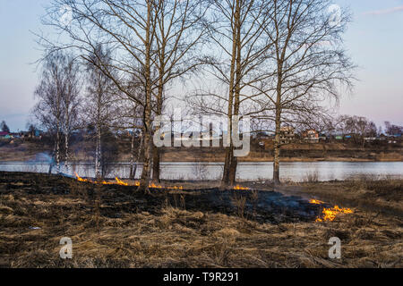 Combustion illégale d'herbe de l'année dernière à sec au début du printemps à la périphérie de la ville d'Ivanovo. Banque D'Images