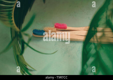 4 brosses à dents de bambou sur fond vert et feuille de palmier vert Banque D'Images