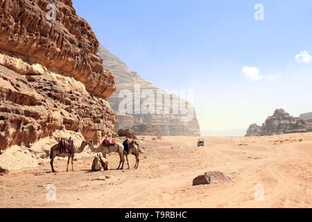 Location de safari dans le désert de Wadi Rum, Jordanie. Les chameaux et les touristes dans la voiture en dehors de la route sur le sable entre les rochers Banque D'Images