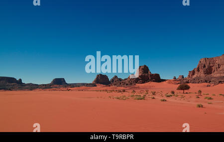 Résumé Rock formation à Boumediene , Tassili nAjjer parc national, l'Algérie Banque D'Images