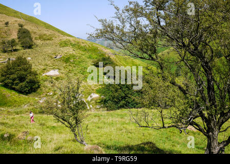 Randonnée en montagne, Pyrénées-Atlantiques, France Banque D'Images