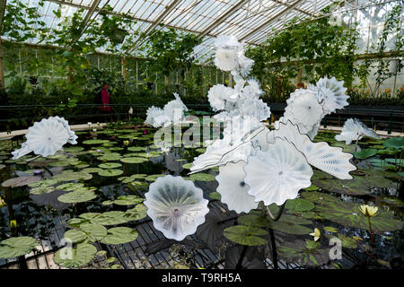 Persan blanc éthéré étang fait partie de l'artiste contemporain en verre Dale Chihuly, le travail le plus récent de Chihuly à Kew : réflexions sur la nature, l'exposition à Kew Gardens, Surrey Banque D'Images