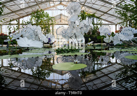 Persan blanc éthéré étang fait partie de l'artiste contemporain en verre Dale Chihuly, le travail le plus récent de Chihuly à Kew : réflexions sur la nature, l'exposition à Kew Gardens, Surrey Banque D'Images