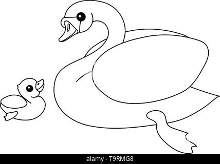 Ligne vector cartoon animal blanc cygne muet clip art Illustration de Vecteur