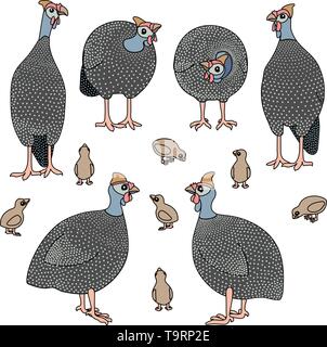 Scandi vector cartoon animal oiseaux pintades clip art Illustration de Vecteur