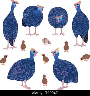 Télévision vector cartoon animal oiseaux pintades clip art Illustration de Vecteur