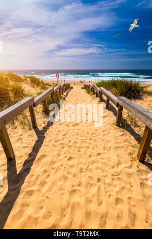 Vue de la plage de Monte Clerigo avec Mouettes volantes sur la côte ouest du Portugal, Algarve. Escaliers de la plage Praia Monte Clerigo près de Aljezur, Banque D'Images