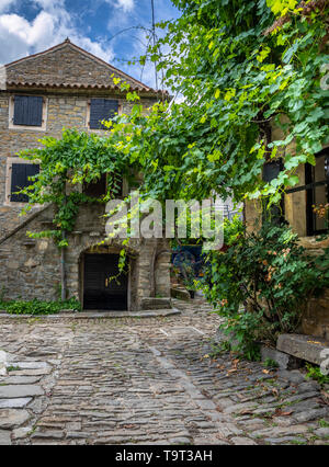 Place de l'artiste et le village de montagne de Groznjan, Rab, Croatie, Europe, Künstlerort und Bergdorf Groznjan, Kroatien, Europa Banque D'Images