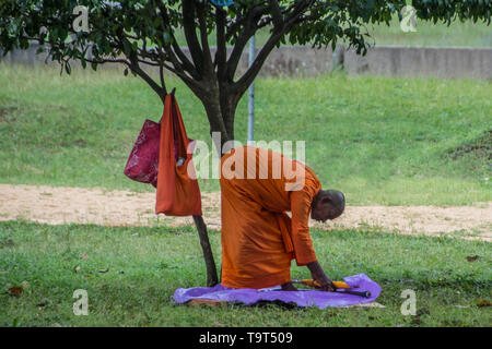 Sri Lanka voyage, Jour 4 : un moine bouddhiste, repéré dans le Mahamewna Gardens, Anuradhapura. Banque D'Images