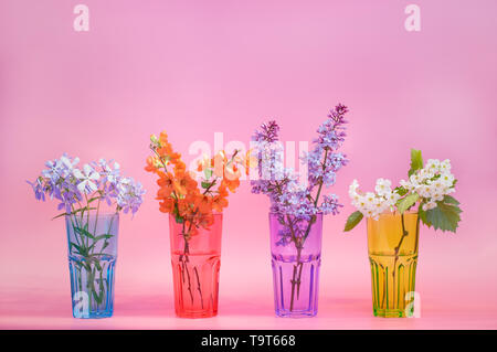 Quatre tasses en verre identique : rouge, vert, bleu, violet. Fleurs de printemps sur un fond rose. Close up Banque D'Images