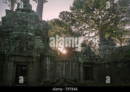 Le lever du soleil sur la deuxième enceinte, Ta Prohm, Angkor, Siem Reap, Cambodge Banque D'Images