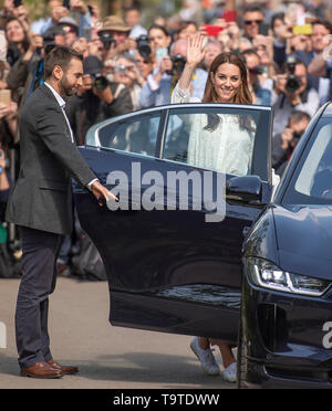 RHS Chelsea, London, UK. 20 mai 2019. Son Altesse Royale la duchesse de Cambridge vues La RHS Retour à la nature Jardin elle a co-conçu. Credit : Malcolm Park/Alamy. Banque D'Images