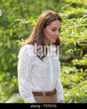 RHS Chelsea, London, UK. 20 mai 2019. Son Altesse Royale la duchesse de Cambridge vues La RHS Retour à la nature Jardin elle a co-conçu. Credit : Malcolm Park/Alamy. Banque D'Images