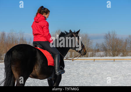 Les femmes de race blanche est assis dans la selle sur son cheval à l'extérieur en hiver. Banque D'Images