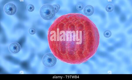 3D illustration du processus d'infecter des cellules de micro-organismes pathogènes. Banque D'Images