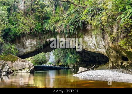 Moria Gate Arch, calcaire naturel tunnel, sur la rivière Oparara arch rock, bassin Oparara, Kahurangi National Park, Karamea, région de la côte ouest, au Sud Banque D'Images